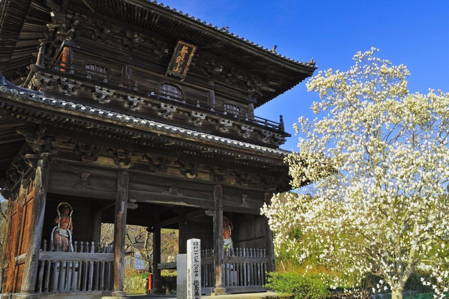 🏯 제8번 영지 구마타니지(쿠마다니지) 시코쿠 영장